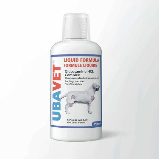 Glucosamine Hcl Liquid Formula for Cats and Dogs - 250 mL - product image 1