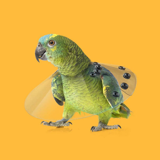 Saf T Shield Collar for Birds - 2.75 in x 6 in - product image 1
