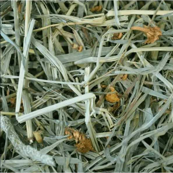 Botanical Hay for Small Pets 0.425 kg Bag - Default Title - product image 2