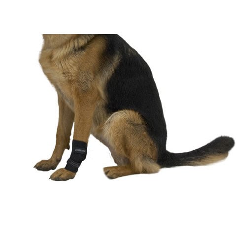 Rehab Dog Carpal Joint Protector - view 4