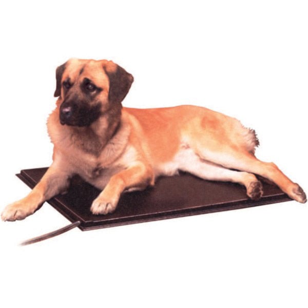 Lectro Kennel Heated Pad - 22.5 in - product image 1