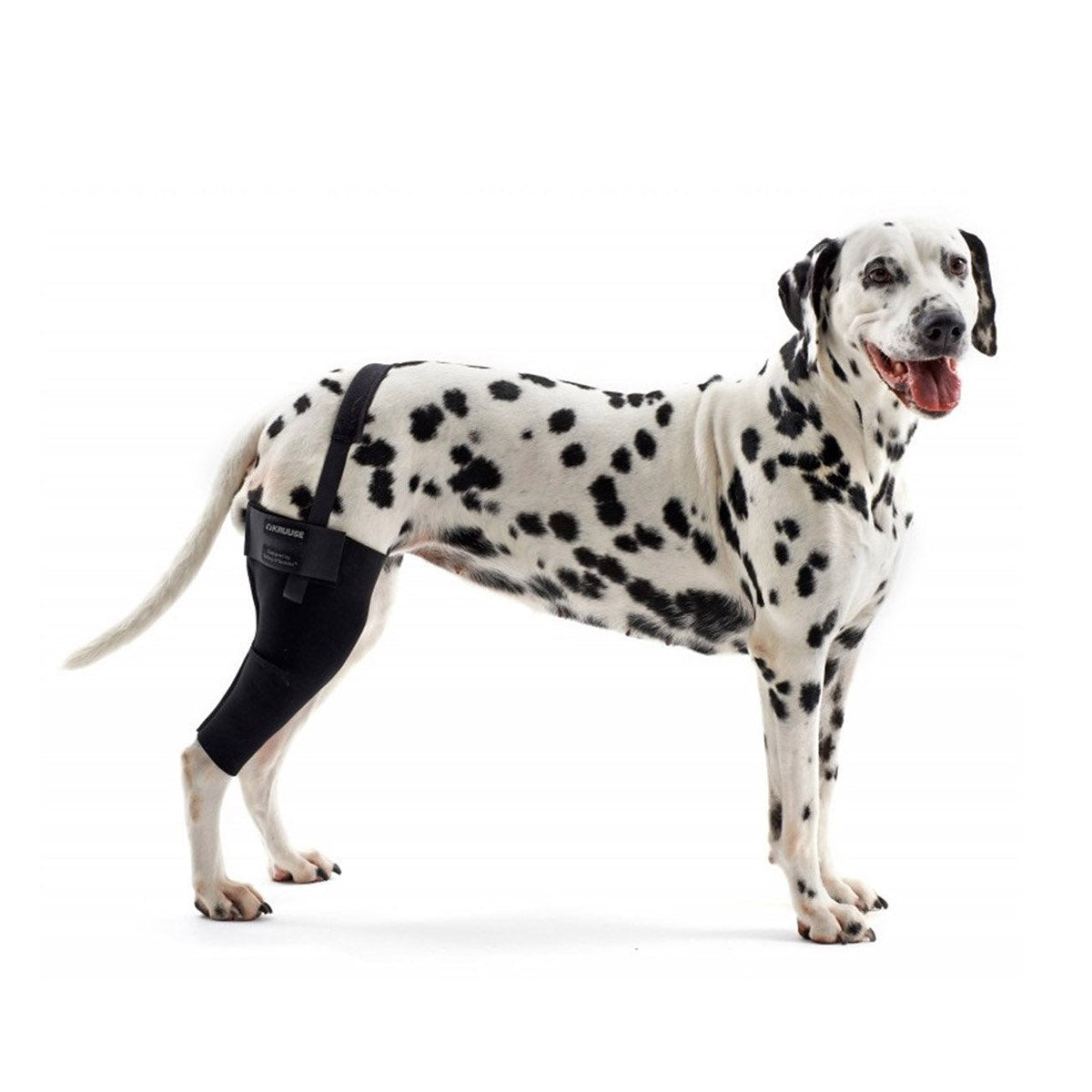 Rehab Dog Right Knee Protector - XXLarge - product image 1