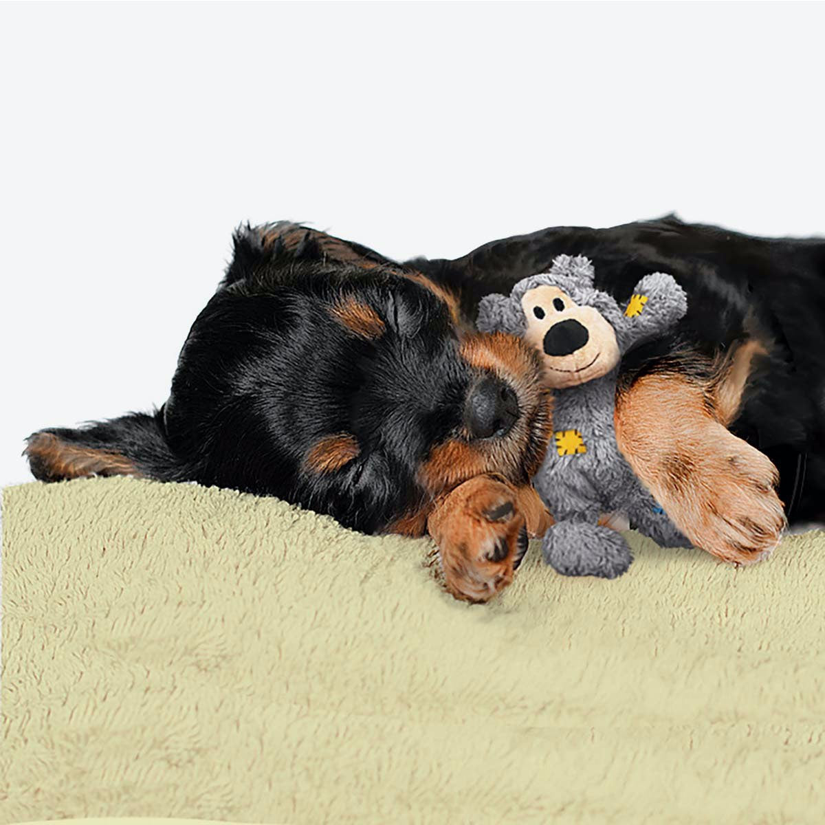 Wild Knots Bear Plush for Dogs 1 Unit, Random, Small/Medium - Default Title - product image 3
