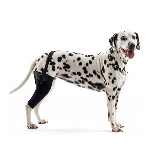 Rehab Dog Right Knee Protector - Medium - product image 1