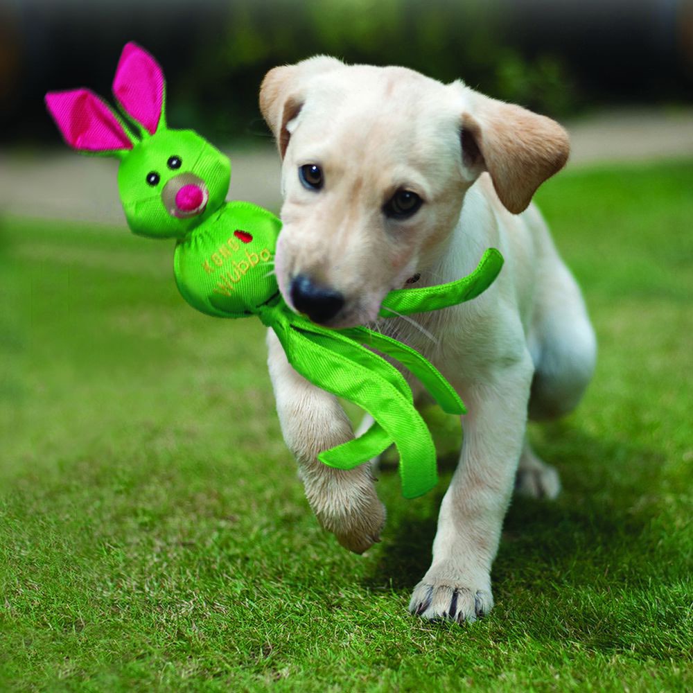 Wubba Ballistic Friends Toy for Dogs 1 Unit - Default Title - product image 3