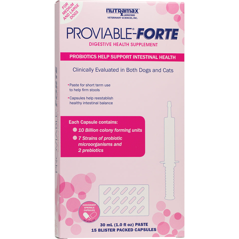 Proviable Forte Kit for Medium to Large Dogs 10000000000 CFU for Cats and Dogs - Default Title - product image 1