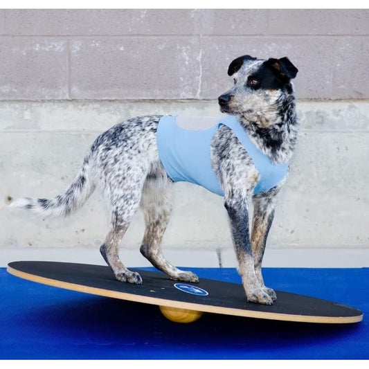 Canine Conditioning Wobble Board for Pets (20 in) 1 Unit - Default Title - product image 2