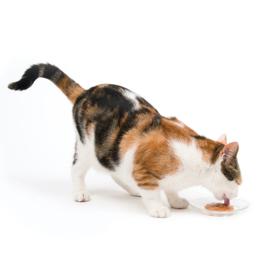 Creamy Lickable Cat Treats - Chicken and Liver / Pack of 5 - product image 2