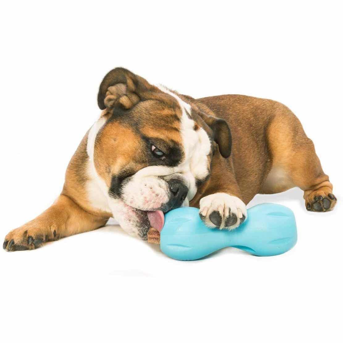 Qwizl Treat Toy for Dogs (Aqua) 1 Unit - Default Title - product image 4