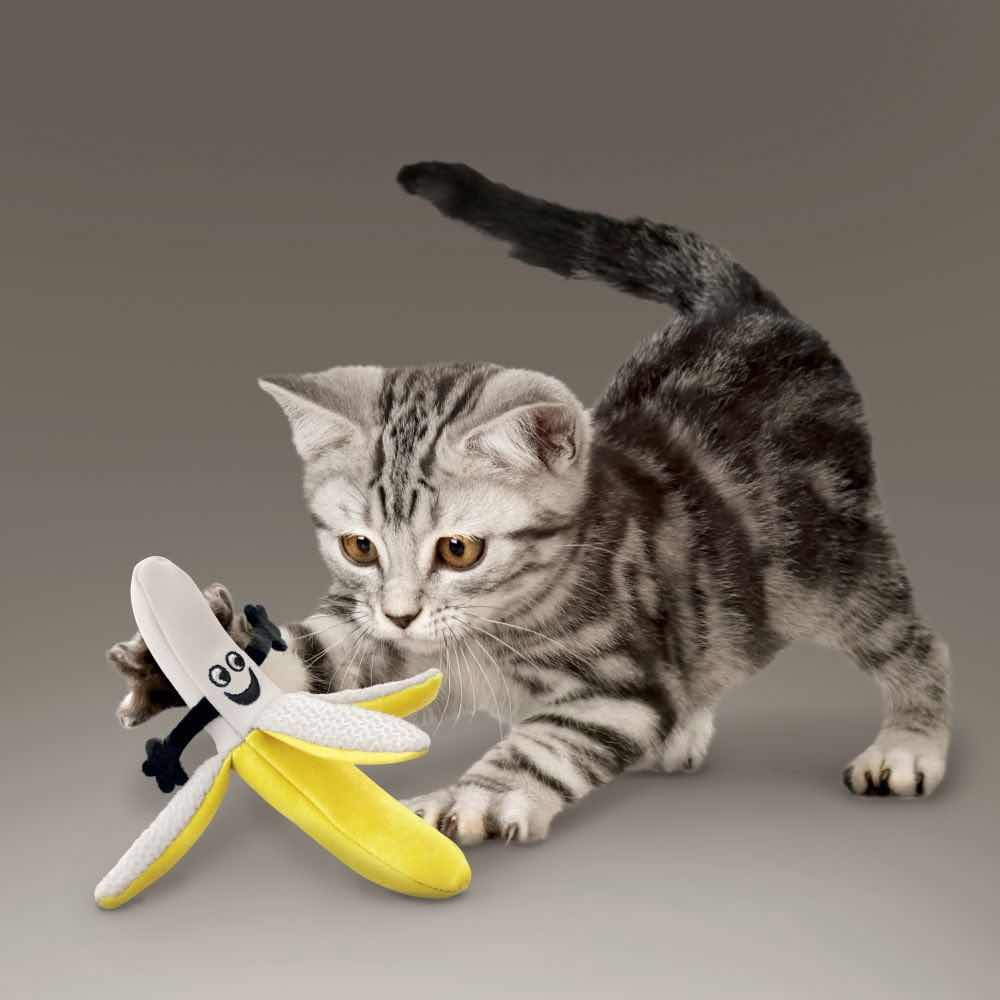 Better Buzz Toy for Cats 1 Unit - Default Title - product image 4