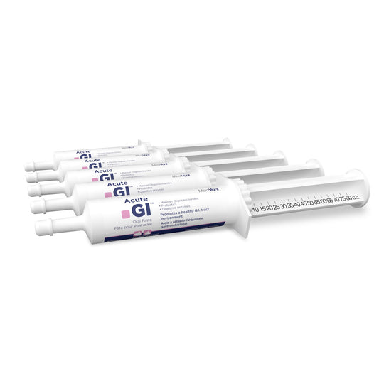 Acute Gi Oral Paste for Cats and Dogs - 5 X 80 Cc - product image 1