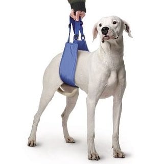 Quick-Lift for Pets 1 Unit, Large - Default Title - product image 1