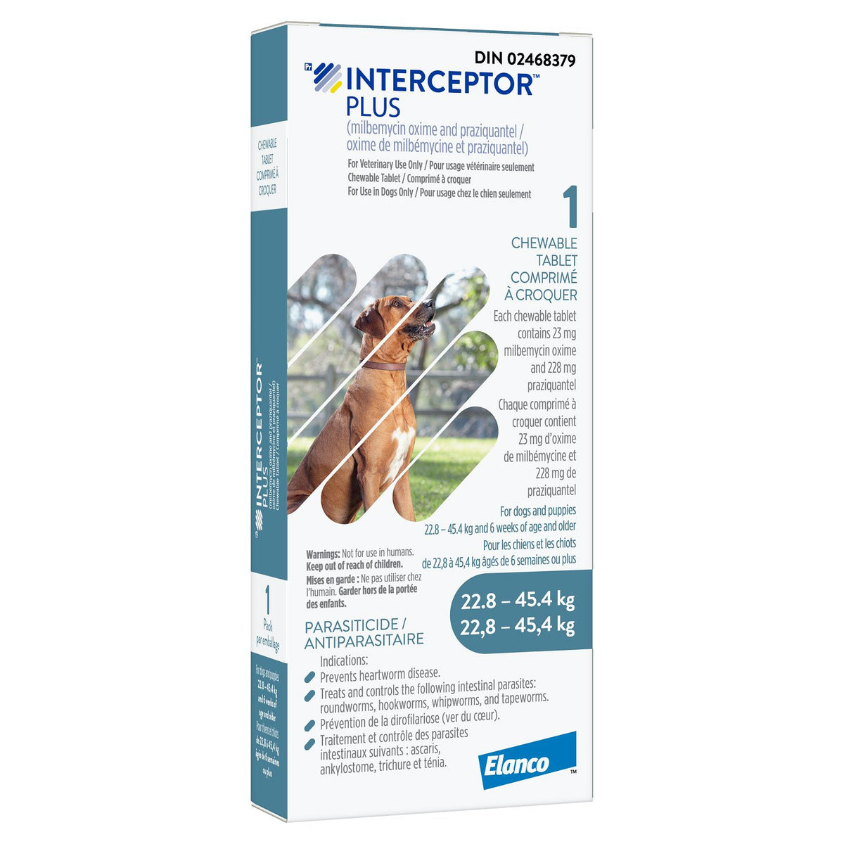 Interceptor Plus Chewable Tablet, 22.8-45.4 kg (Blue), 16 Chews