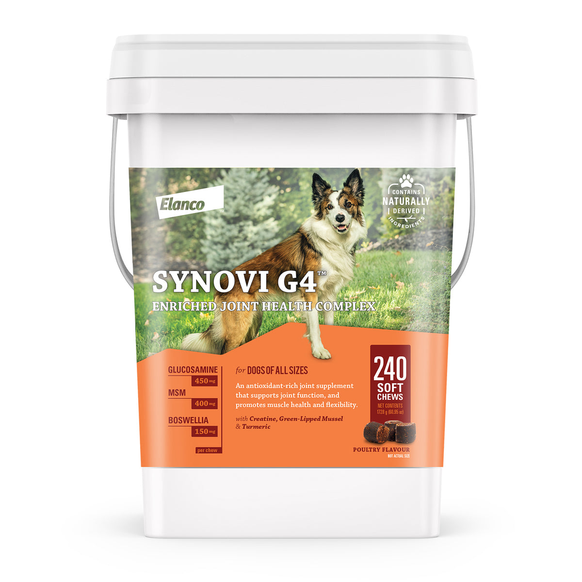 Synovi G4 for Dogs - 240 Soft Chews - product image 1