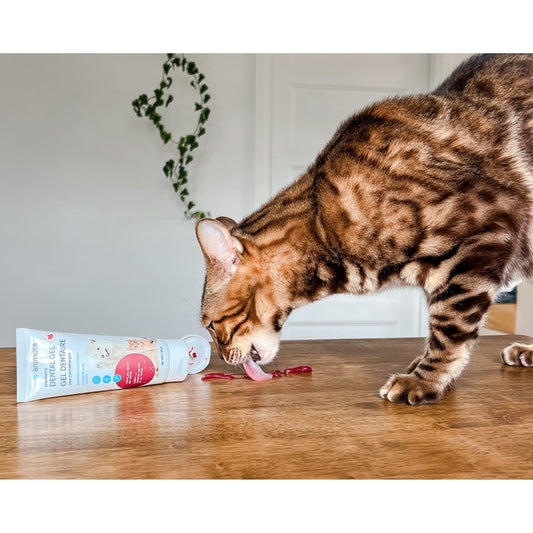 Dental Gel for Cats and Dogs - view 2