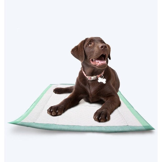 Underpad for Surgery or Incontinence P-Rugz for Pets Bag of 10 Pads 60 cm x 90 cm - Default Title - product image 2