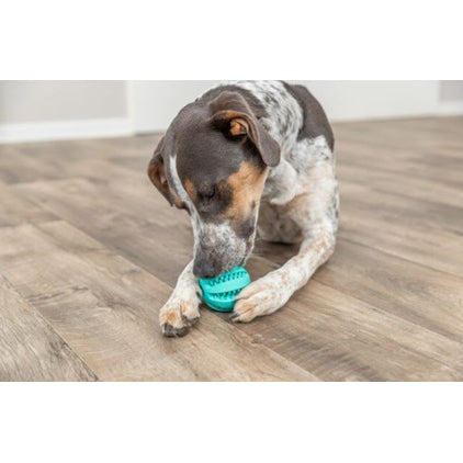 Toy Ball Denta Fun for Dogs - 7 cm - product image 3