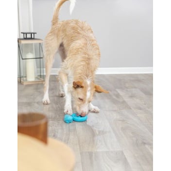 Toy Snack Snake for Dogs - view 12