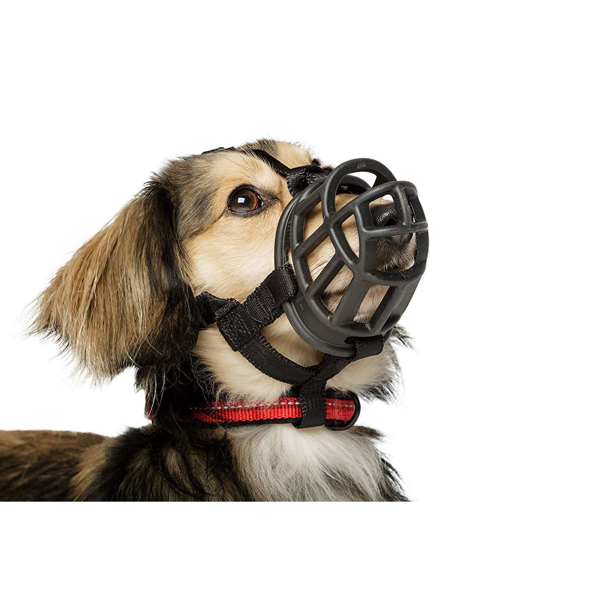 Ultra Muzzle for Dogs - Default Title - product image 3