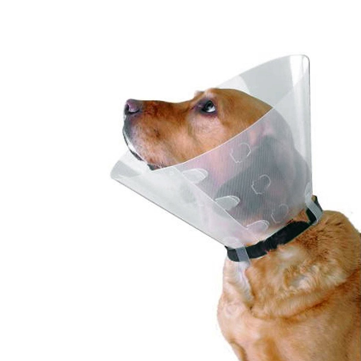 Buster Clic Collar for Cats and Dogs - Clear / 30 cm - product image 1