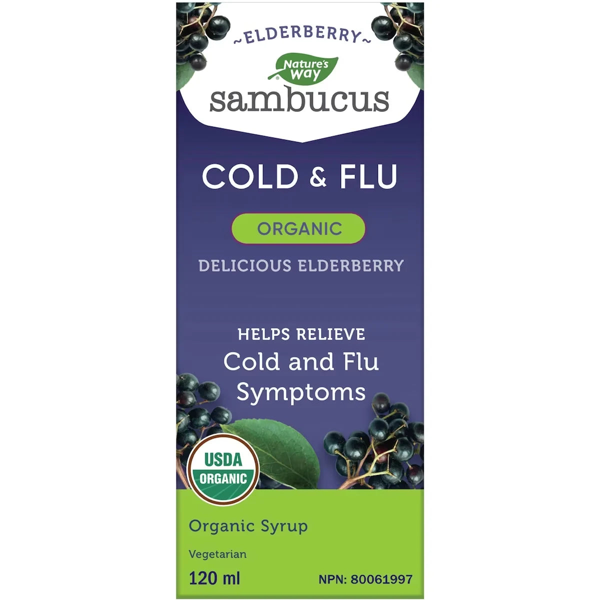 Nature's Way Organic Sambucus Cold and Flu Care, Syrup Elderberry, 120 mL product package