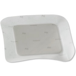 Coloplast Biatain Silicone Ag, 5in x 5in (12.5 cm x 12.5 cm) - Box of 5