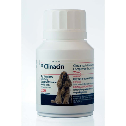 Clinacin Tablets for Dogs, 75 mg, 200 Tablets