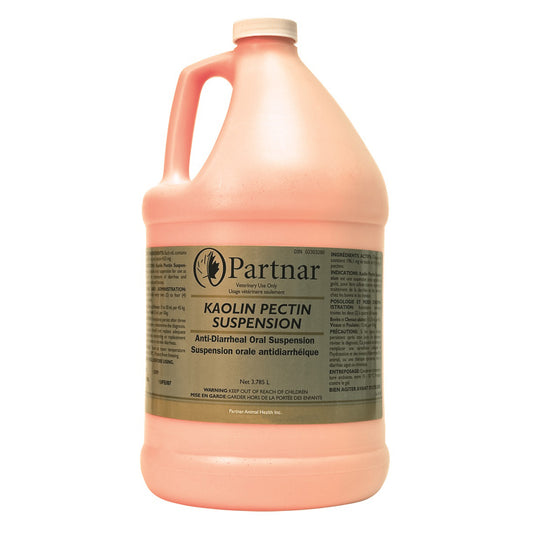 Kaolin Pectin Suspension 3.78 L Jug 196.1/4.53 mg/mL - Default Title - product image 1