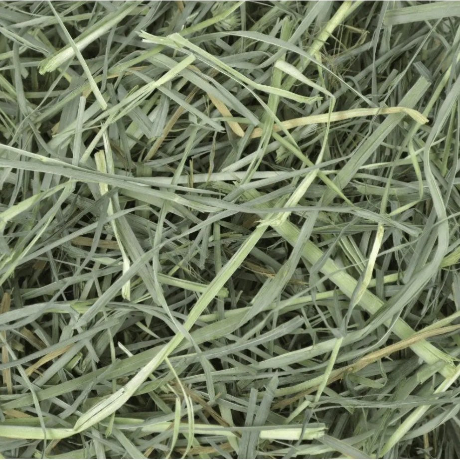 Foin Orchard Grass for Small pets - view 7