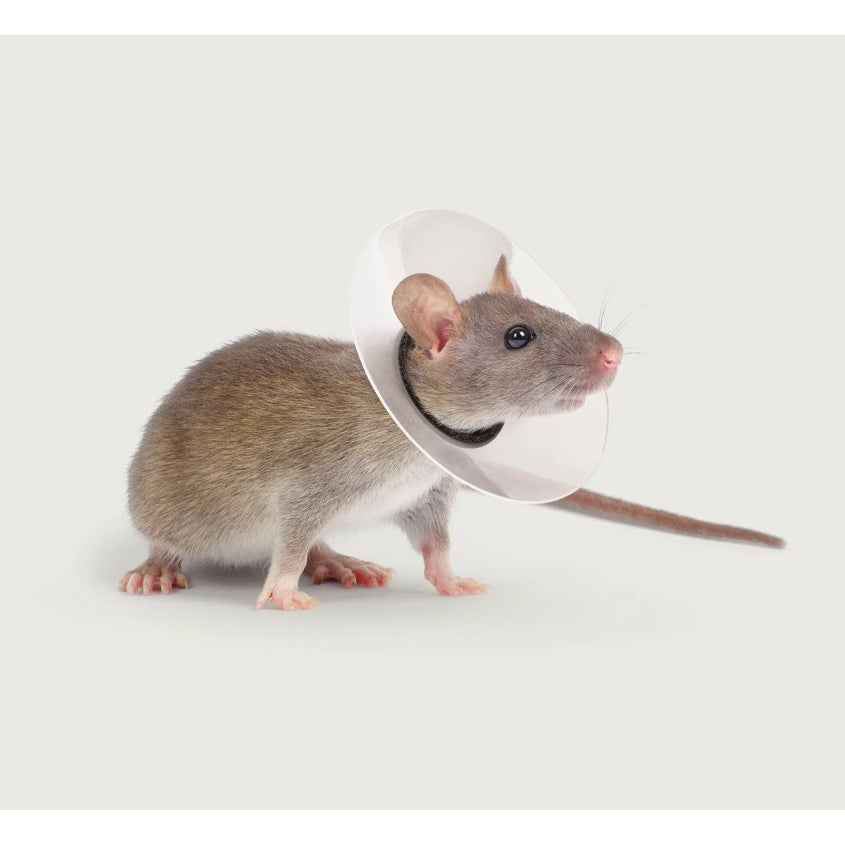 Saf-T-Shield Collar for Rodents for Pets 1-1.25 in x 2 in - Default Title - product image 1