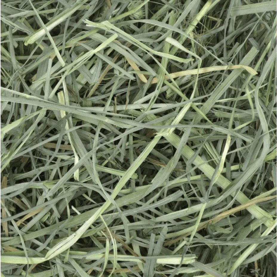 Foin Orchard Grass for Small pets - view 4