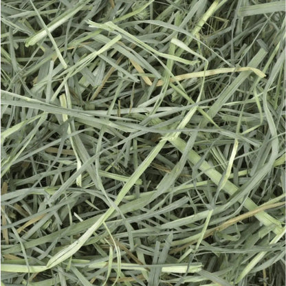 Foin Orchard Grass for Small pets - view 4