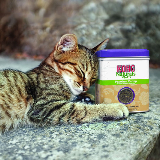 Naturals Premium Catnip for Cats 2 Oz 56.7 g Box - Default Title - product image 2