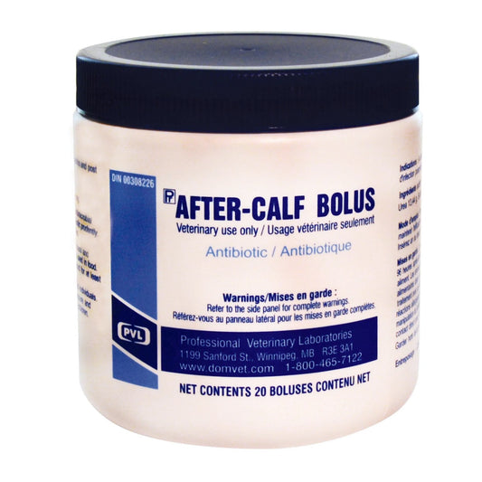 After - Calf Bolus Tablet 1 Box of 20 Bolus