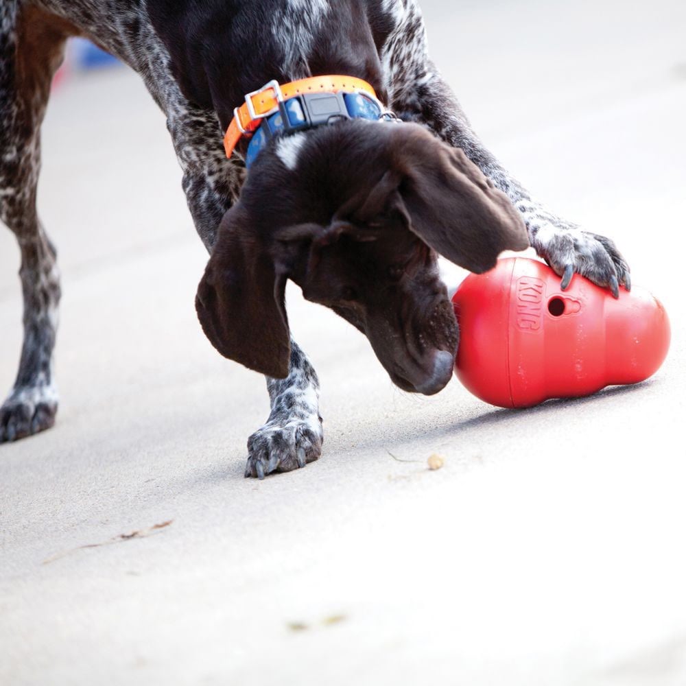 Wobbler Treat Toy for Dogs (Red) 1 Unit - Default Title - product image 3