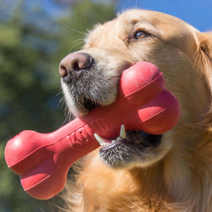 Goodie Bone Toy for Dogs - Standard - product image 3