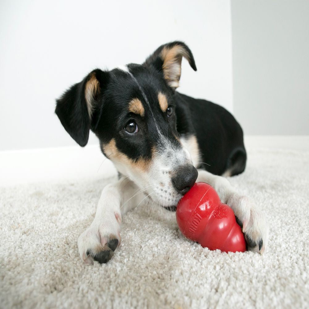 Classic Stuffing Toy for Dogs - Large - product image 3
