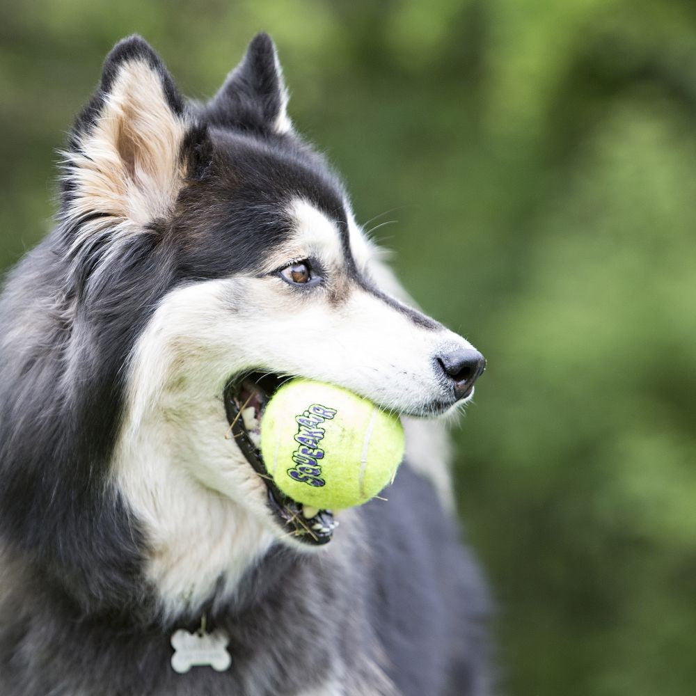 Squeakair Ball for Dogs (Yellow) 1 Ball, Medium - Default Title - product image 3