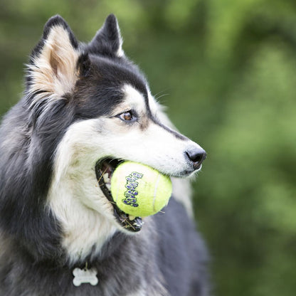 Squeakair Ball for Dogs (Yellow) 1 Ball, Medium - Default Title - product image 3