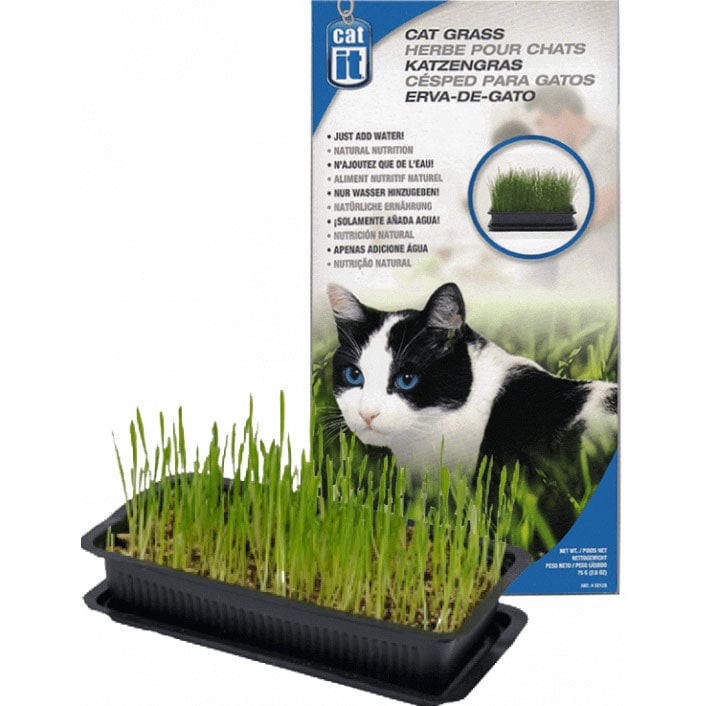 Cat Grass for Cats 85 g 1 Kit - view 3