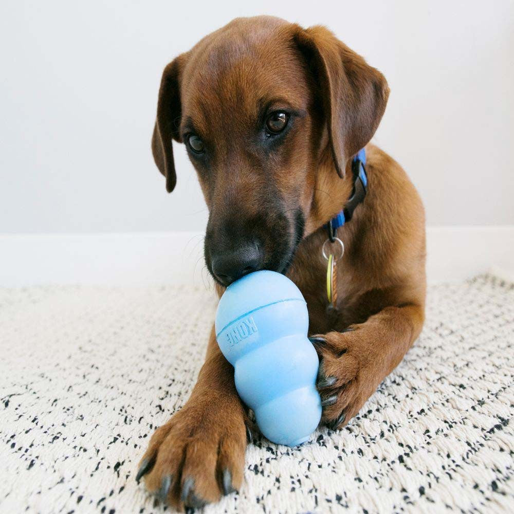 Puppy Stuffing Toy for Dogs 1 Unit - Default Title - product image 3