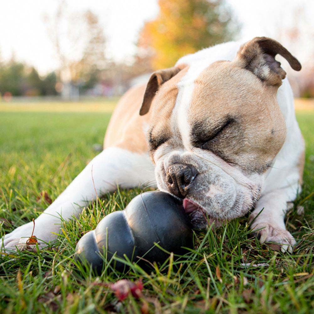 Extreme Stuffing Toy for Dogs 1 Unit, Black, Medium - Default Title - product image 3