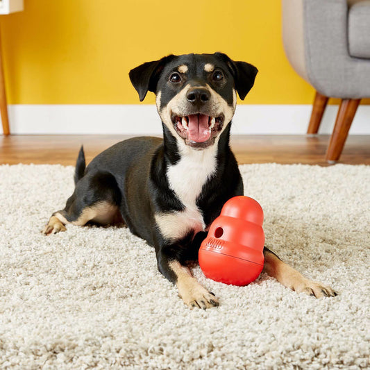 Wobbler Treat Toy for Dogs (Red) 1 Unit, Small - view 1