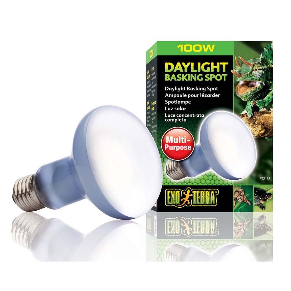 Daylight Basking Spot R25/100W for Exotic Pets 1 Unit - Default Title - product image 1