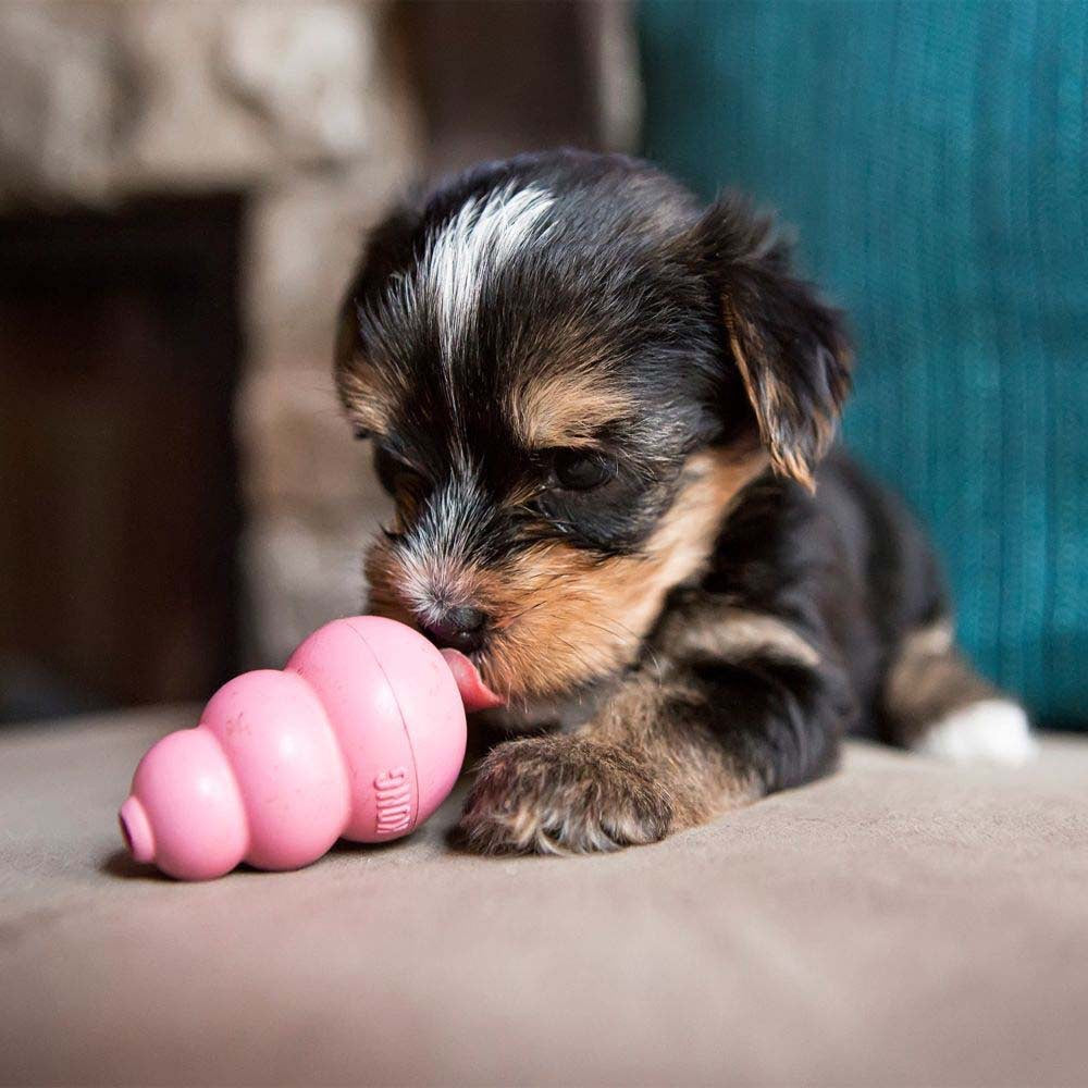 Puppy Stuffing Toy for Dogs 1 Unit, Random, XS - Default Title - product image 3