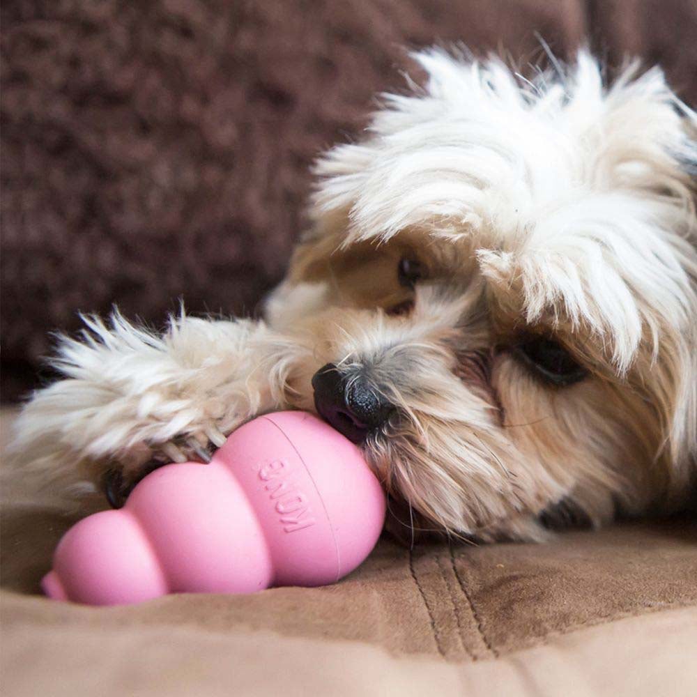 Puppy Stuffing Toy for Dogs 1 Unit, Random, Small - view 3