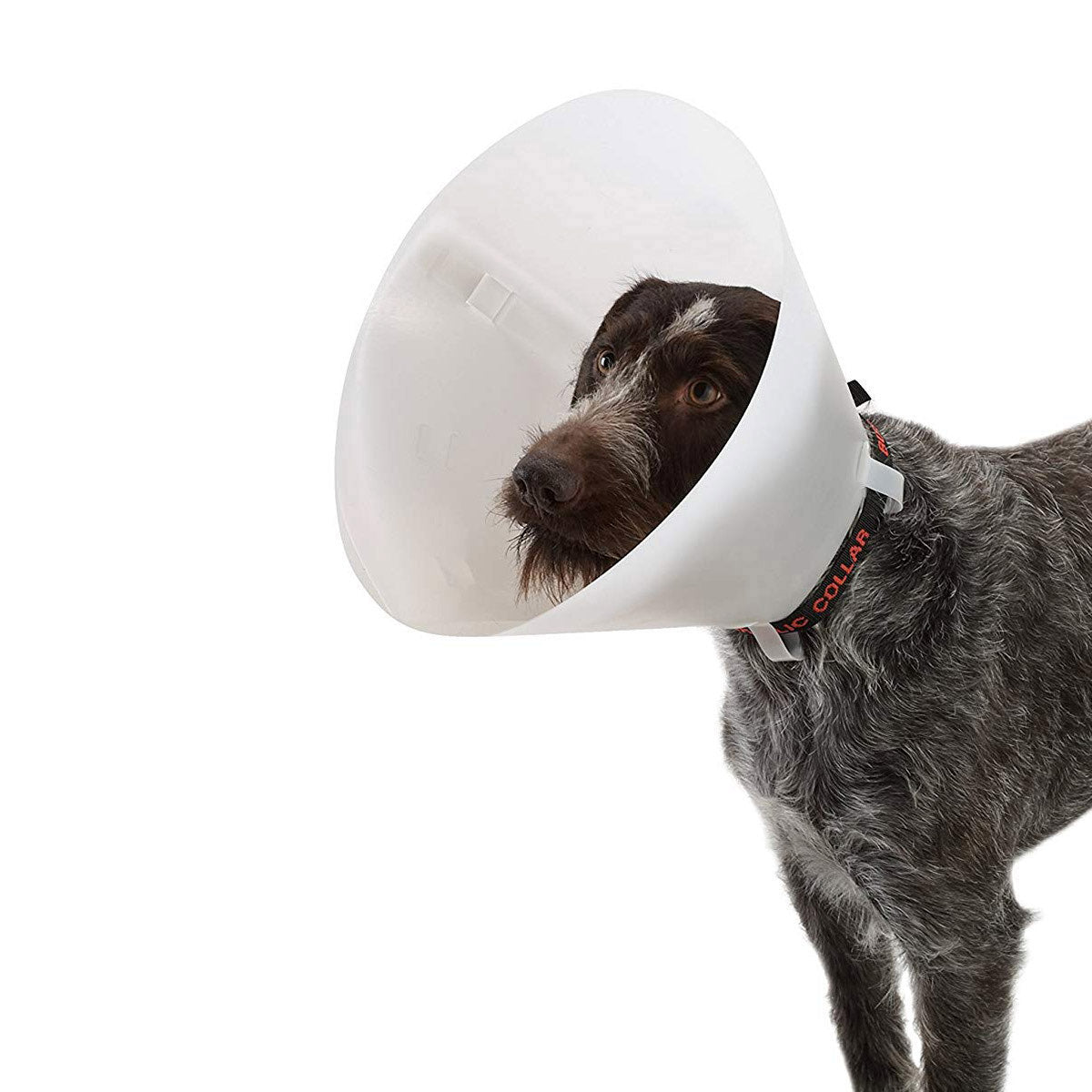 Buster Classic Collar for Dogs 35 cm, White - Default Title - product image 1