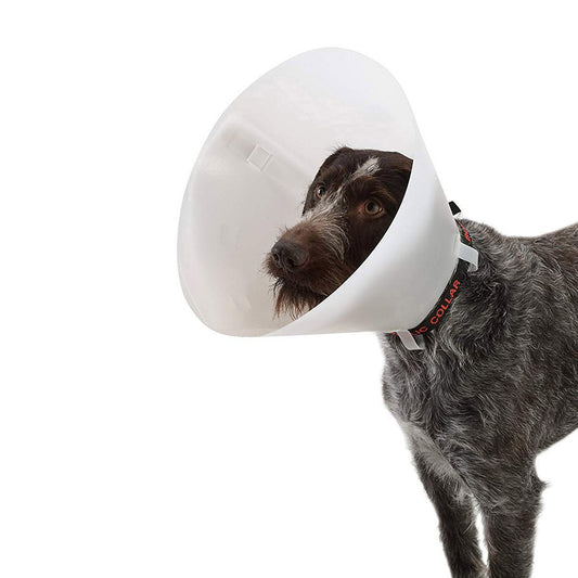 Buster Classic Collar for Dogs 35 cm, White - Default Title - product image 1