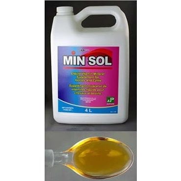 Min Sol Syrup for Horses and Farm Animals 4 L Jug - Default Title - product image 1