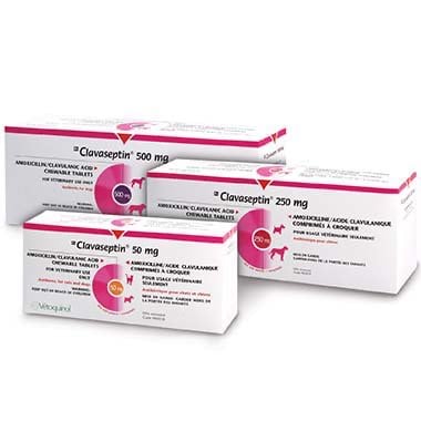 Clavaseptin Chewable Tablet for Cats and Dogs, 62.5 mg, 100 Chews